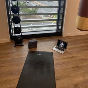 Alo Yoga Warrior Mat